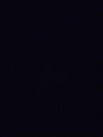 Chauffeur , ou n'importe quel domaine