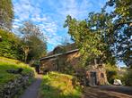 Ardennen: prachtige woning en vakantiehuis of praktijk, Immo, Huizen en Appartementen te koop, Vielsalm, Overige soorten, 5 kamers