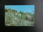 Postkaart zicht op Kuuroord Pamporovo Bulgarije, Ophalen of Verzenden, 1960 tot 1980, Gelopen, Overig Europa