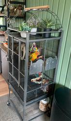 Papegaaienkooi, Dieren en Toebehoren, Ophalen, Gebruikt