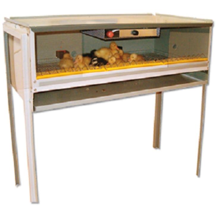 Opfokkast kuikens voor groot aantal kuikens - stapelbaar, Dieren en Toebehoren, Pluimvee | Toebehoren, Nieuw, Kippenhok of Kippenren