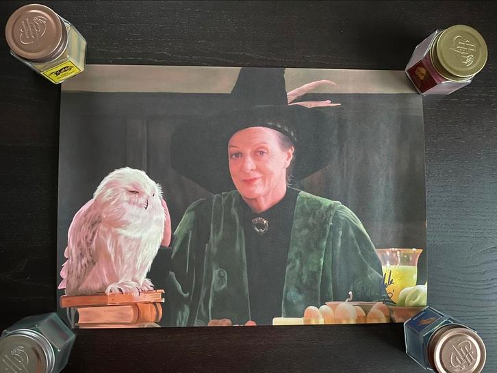 poster Harry Potter Minerva McGonagall, Verzamelen, Harry Potter, Ophalen of Verzenden