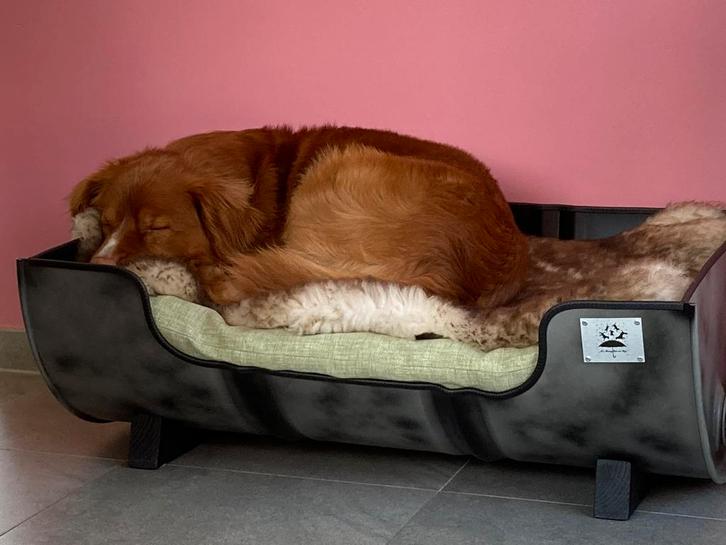 Luxe grote hondenmand in industriele look, Dieren en Toebehoren, Hondenmanden, Zo goed als nieuw, Ophalen