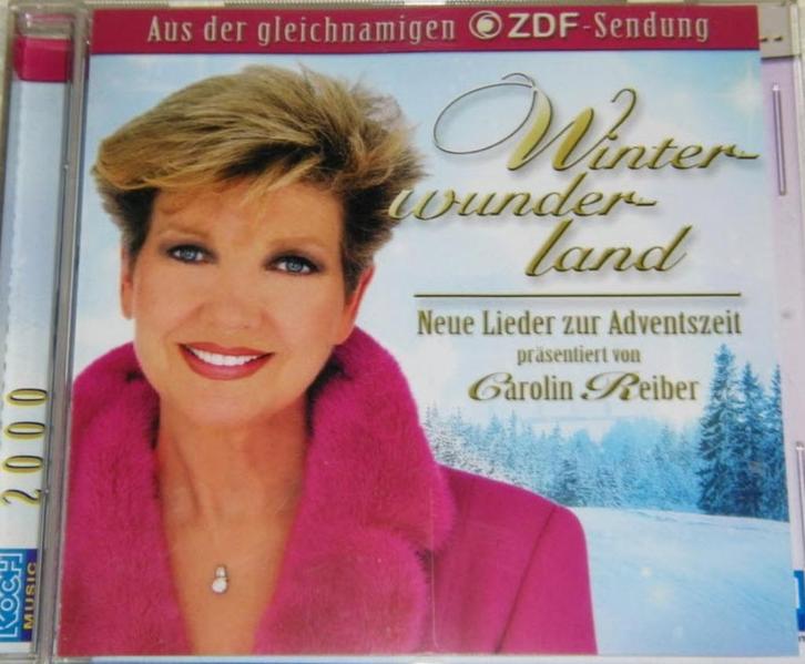 Winterwonderland - Neue lieder zur Adventszeit, Cd's en Dvd's, Cd's | Verzamelalbums, Ophalen of Verzenden