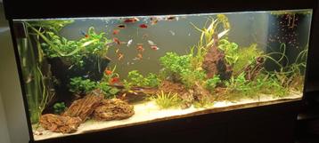 Aquarium juwel rio led450 beschikbaar voor biedingen