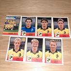 VOETBAL 92 LIERSE RUILEN MET 2008 PANINI!, Hobby en Vrije tijd, Ophalen of Verzenden, Zo goed als nieuw