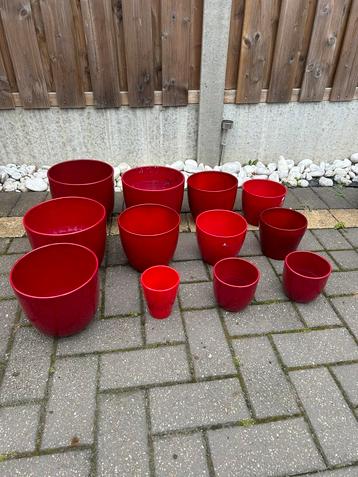Set rode bloempotten in verschillende maten beschikbaar voor biedingen