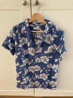 Sweaters-broeken-hemd America Today-AO-CKS-Abercrombie 16j, Kinderen en Baby's, Kinderkleding | Maat 176, Ophalen of Verzenden