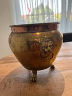 Très joli cache pot en cuivre à tête de lion, Antiquités & Art, Antiquités | Bronze & Cuivre, Cuivre