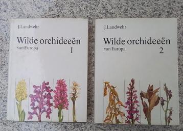 Wilde orchideeën van Europa  beschikbaar voor biedingen