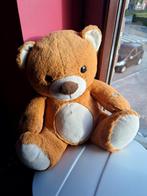 Ours en peluche, Collections, Enlèvement, Neuf
