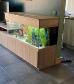 Groot Aquarium, Dieren en Toebehoren, Ophalen, Gebruikt, Leeg aquarium