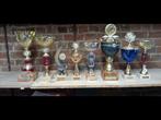 trofeeën te koop 28stuks 2€ het stuk of 30€ voor alles, Verzamelen, Sportartikelen en Voetbal, Ophalen, Zo goed als nieuw