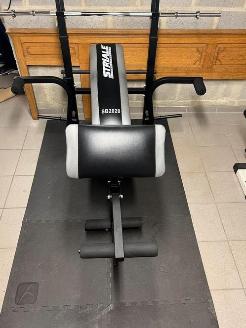 Bench press en biceps curl, Sport en Fitness, Fitnessapparatuur, Zo goed als nieuw, Ophalen