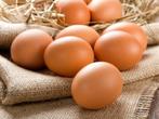 Verse eieren (ook van groenleggers), Dieren en Toebehoren, Pluimvee, Kip
