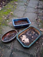 3 bonsai schalen, Tuin en Terras, Bloempotten, Ophalen of Verzenden, Zo goed als nieuw