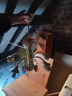 lot lusters en lampadaires - grote keuze - nieuw, Huis en Inrichting, Ophalen of Verzenden, Nieuw, Glas