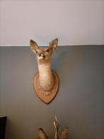 Biche, Gebruikt