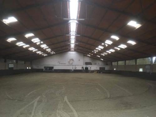 Stallen beschikbaar in kleine pensionstal te Evergem., Dieren en Toebehoren, Stalling en Weidegang, Stalling, 2 of 3 paarden of pony's
