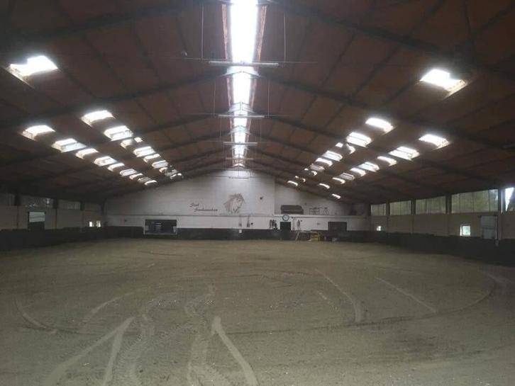 Stallen beschikbaar in kleine pensionstal te Evergem., Dieren en Toebehoren, Stalling en Weidegang, Stalling, 2 of 3 paarden of pony's