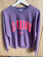 Sweater Arty Blush, Kleding | Dames, Arty Blush, Ophalen of Verzenden, Nieuw, Paars