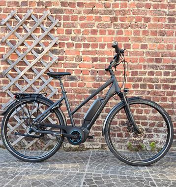 Gudereit Elektrische fiet//2022//riemaandrijving  beschikbaar voor biedingen