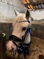 10 jarige grote A pony, Dieren en Toebehoren, Zadelmak