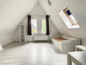 Appartement à vendre à Tournai, 250 m², Appartement, 226 kWh/m²/an