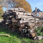 Brandhout den lees beschrijving ., Tuin en Terras, Brandhout, Ophalen, Stammen