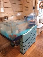 Homarium, Enlèvement, Utilisé, Aquarium d'eau de mer rempli