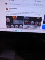 Pompe doseuse, Dieren en Toebehoren, Ophalen, Gebruikt