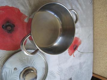 kookpotten met deksel beschikbaar voor biedingen