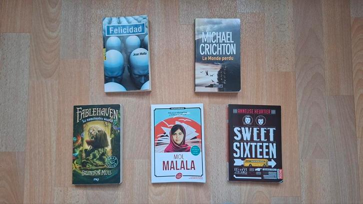 Lot livres, Boeken, Informatica en Computer, Ophalen of Verzenden