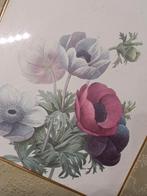 Gravure encadrée et signée motifs floraux 1910 Namur !, Enlèvement ou Envoi