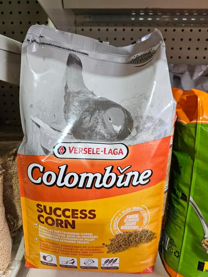 Colombine Success Corn IC+ 3kg - Duivenvoer - Versele Laga, Dieren en Toebehoren, Vogels | Duiven