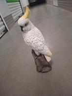 Beeldje papegaai, Enlèvement ou Envoi