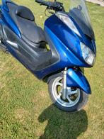 Yamaha majesty 400cc, Motoren, Particulier