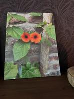 Fotoposter achter glas “suzanne met de mooie ogen”, Ophalen of Verzenden