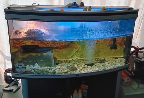 Aqaruim ( zie beschrijving), Dieren en Toebehoren, Reptielen en Amfibieën | Toebehoren, Gebruikt, Overige typen, Ophalen