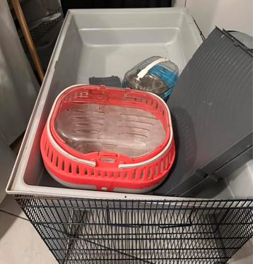 Cage freddy 2 & + beschikbaar voor biedingen