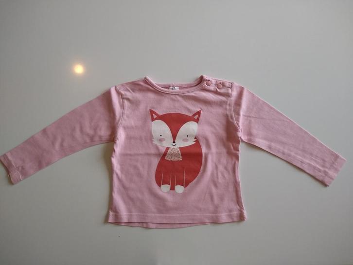 T-shirt longsleeve maat 74 'Vosje', Kinderen en Baby's, Babykleding | Maat 74, Gebruikt, Meisje, Shirtje of Longsleeve, Ophalen of Verzenden