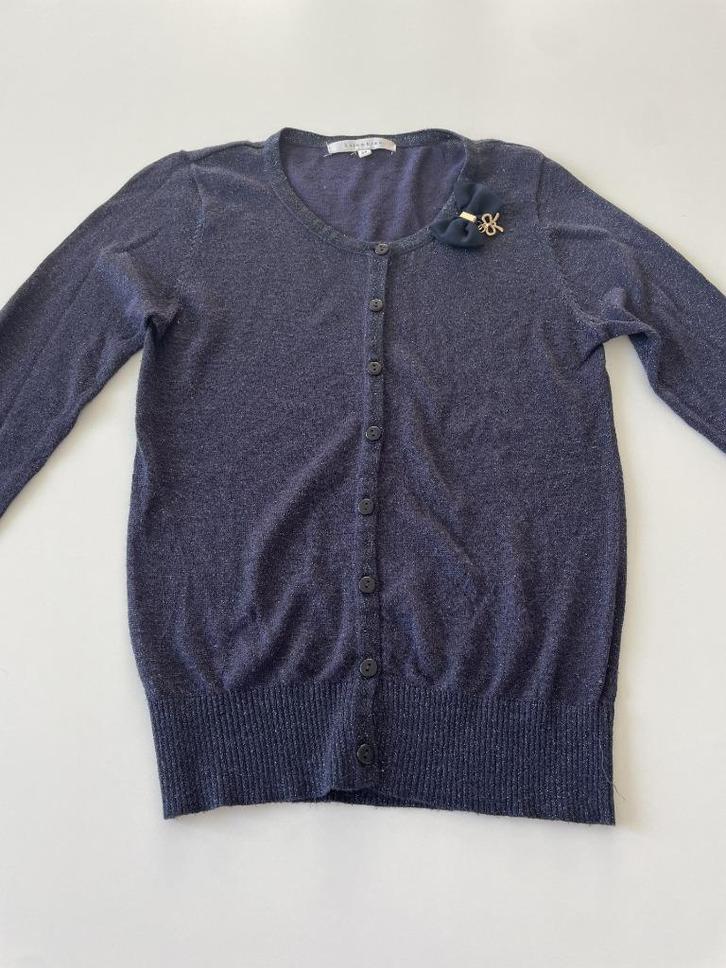 Blauw gilet met gouden glitterdraad maat XS, Kleding | Dames, Truien en Vesten, Zo goed als nieuw, Maat 34 (XS) of kleiner, Blauw
