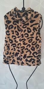Tijger vest, Ophalen of Verzenden, Nieuw