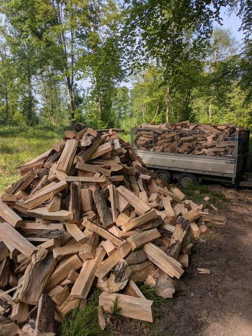 Brandhout van hoge kwaliteit - boomstammen en boomstammen, Tuin en Terras, Brandhout, Blokken, Ophalen of Verzenden