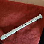 flùte, Muziek en Instrumenten, Blaasinstrumenten | Blokfluiten, Ophalen of Verzenden, Zo goed als nieuw, Overige typen