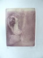 SERGE VANDERCAM Copenhague 1924-Wavre 2005, Enlèvement ou Envoi