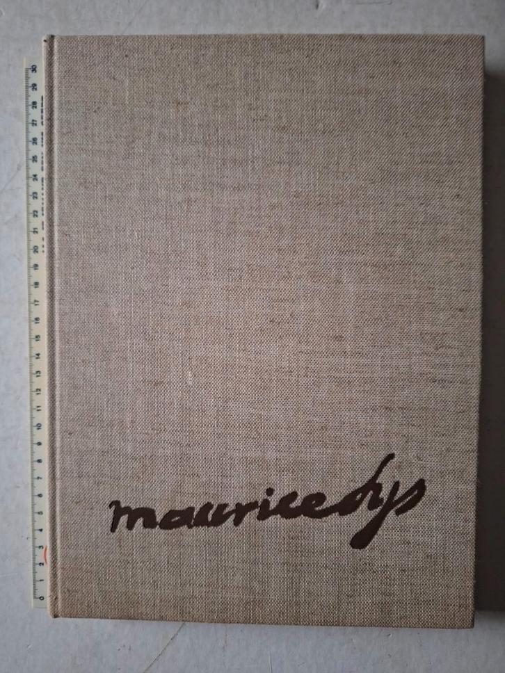 Monografie Maurice Sijs door Guido Sijs en Jos Murez, Boeken, Kunst en Cultuur | Beeldend, Zo goed als nieuw, Ophalen of Verzenden