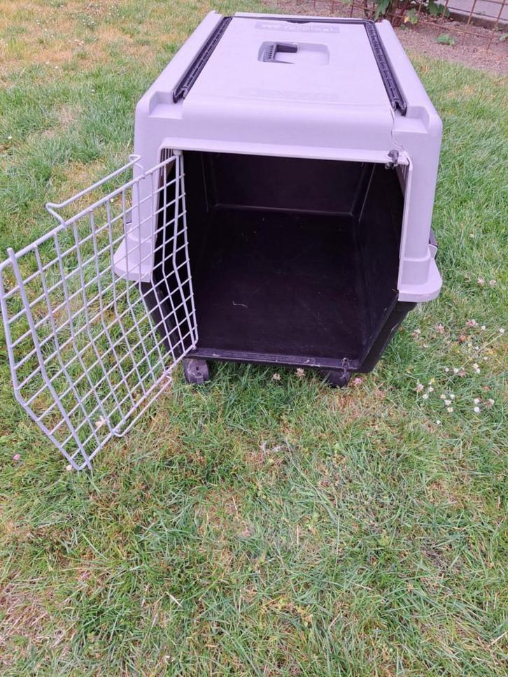 Transportkist, Animaux & Accessoires, Boîtes de transport, Utilisé, Enlèvement ou Envoi