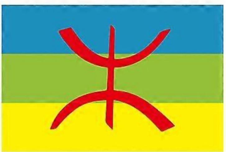 Privéles Berbers Online – €50 per uur, Diensten en Vakmensen, Bijles, Privé-les en Taalles, Bijles, Privéles