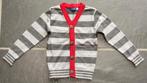 Grijs gestreept golfje I'Kids, maat 3 jaar, Kinderen en Baby's, Kinderkleding | Maat 98, Gebruikt, Trui of Vest, Ophalen of Verzenden